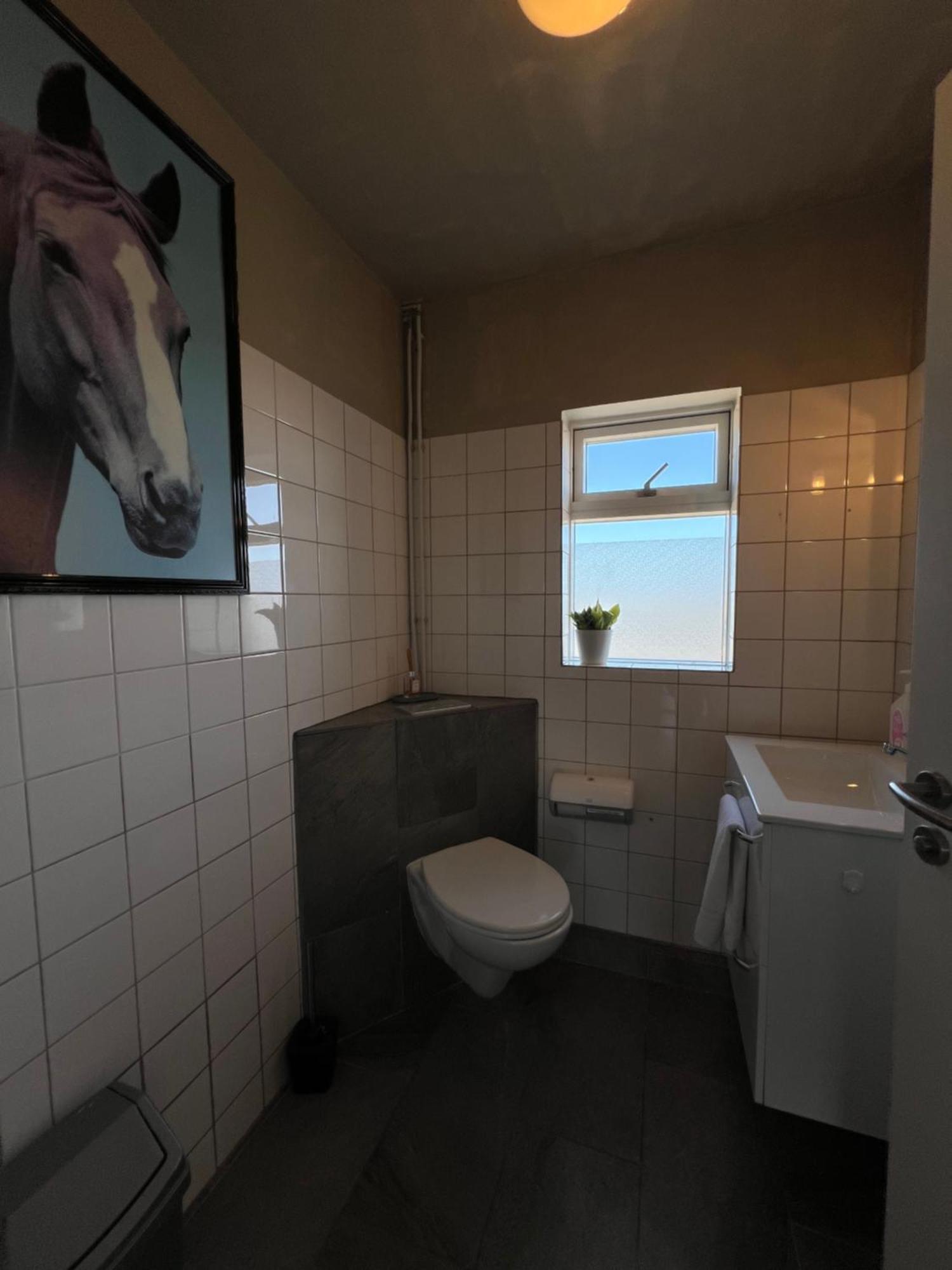 Sauthanes Guesthouse Höfn Buitenkant foto
