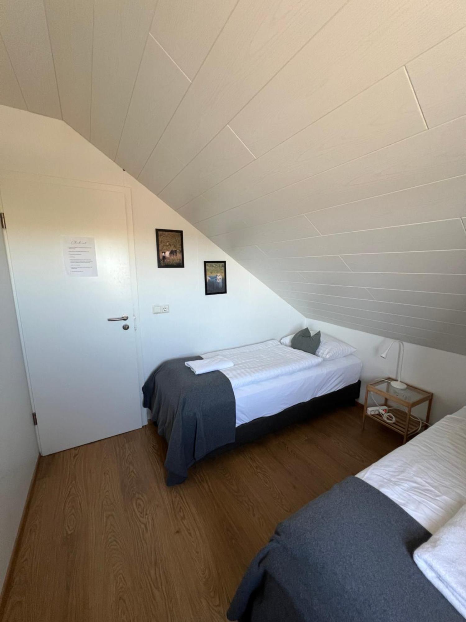 Sauthanes Guesthouse Höfn Buitenkant foto