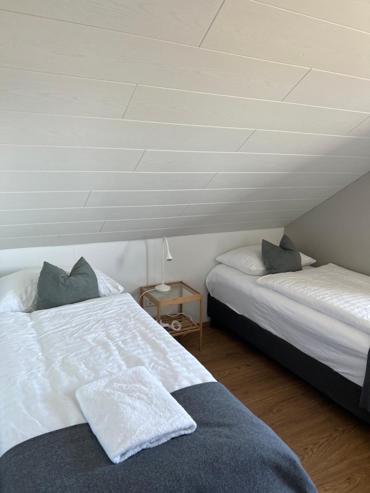 Sauthanes Guesthouse Höfn Buitenkant foto